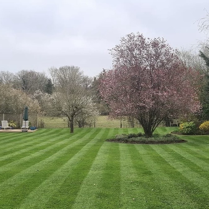 Dynamic vertical shot of a beautifully striped lawn leading to a house