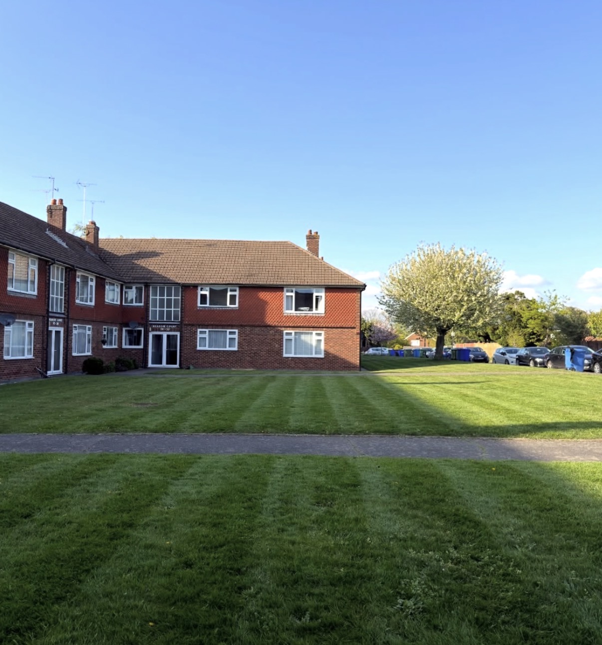 Close-up of perfectly striped lawn