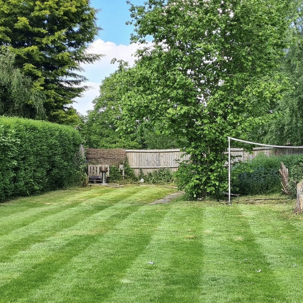 Before and after of a cleared garden space